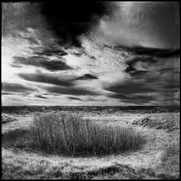 Steve Thornton Photographer create unique insite to a unique landscape on lincolnshire coast. Donna Nook. 4 Square Miles.