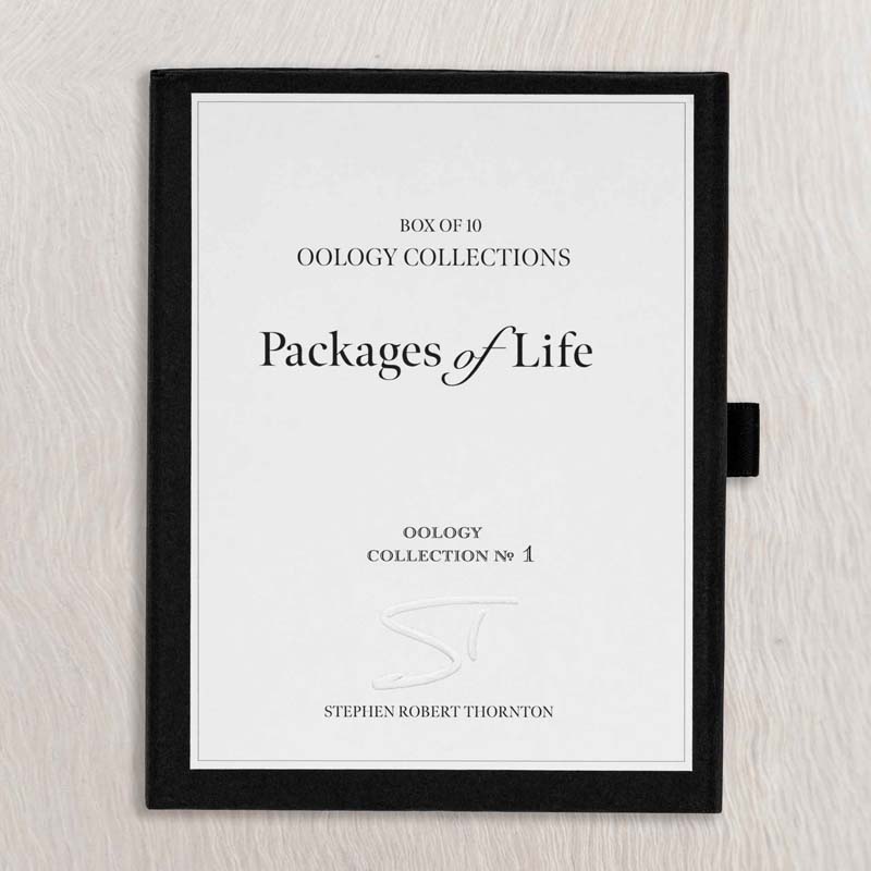 Oology packages of life birds eggs. stephen robert thornton.