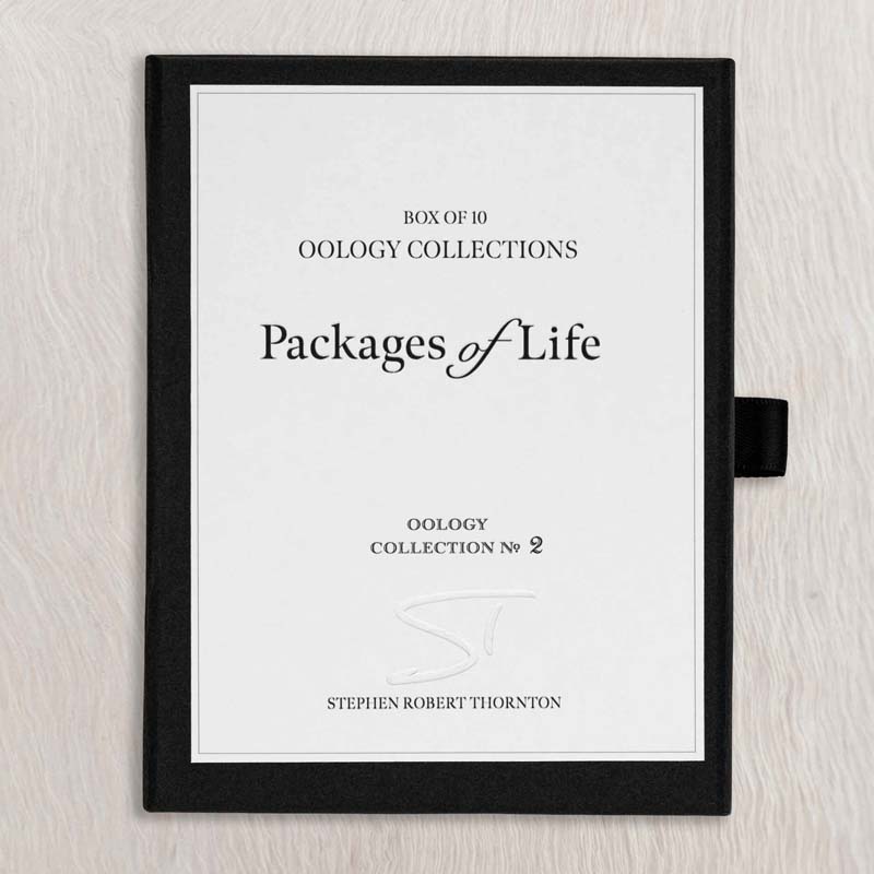 Oology packages of life birds eggs. stephen robert thornton.