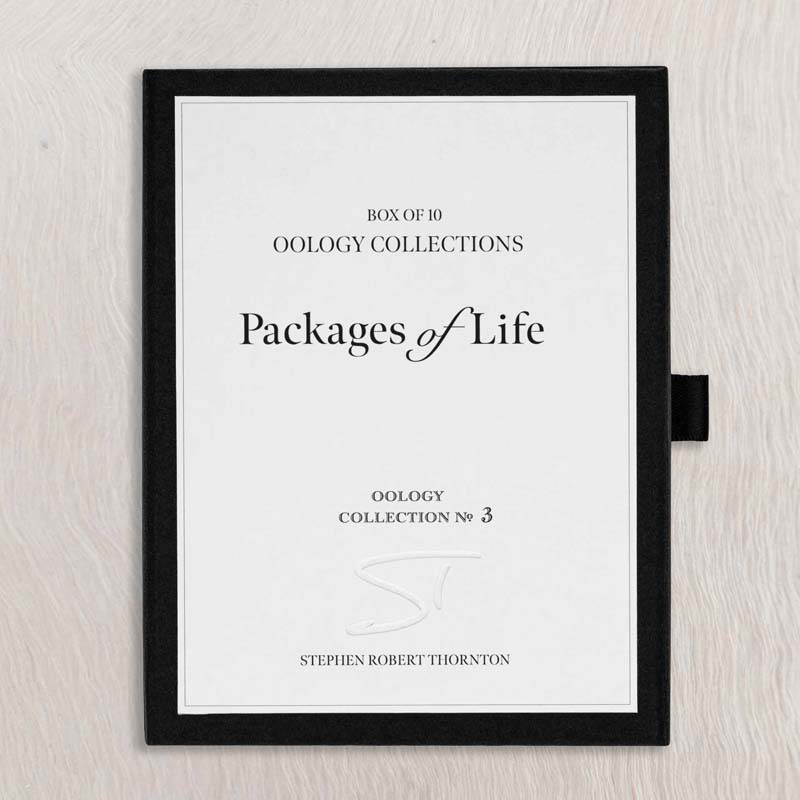 Oology packages of life birds eggs. stephen robert thornton.