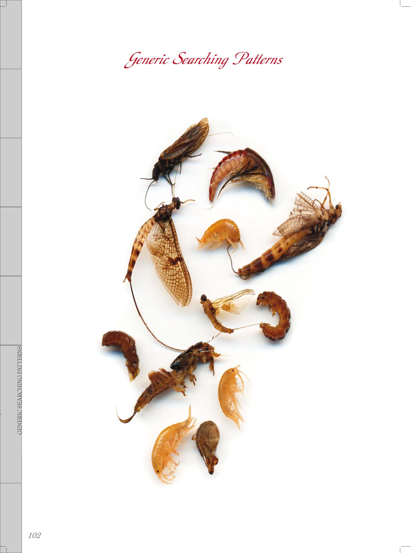 Listen to the River Volume 1