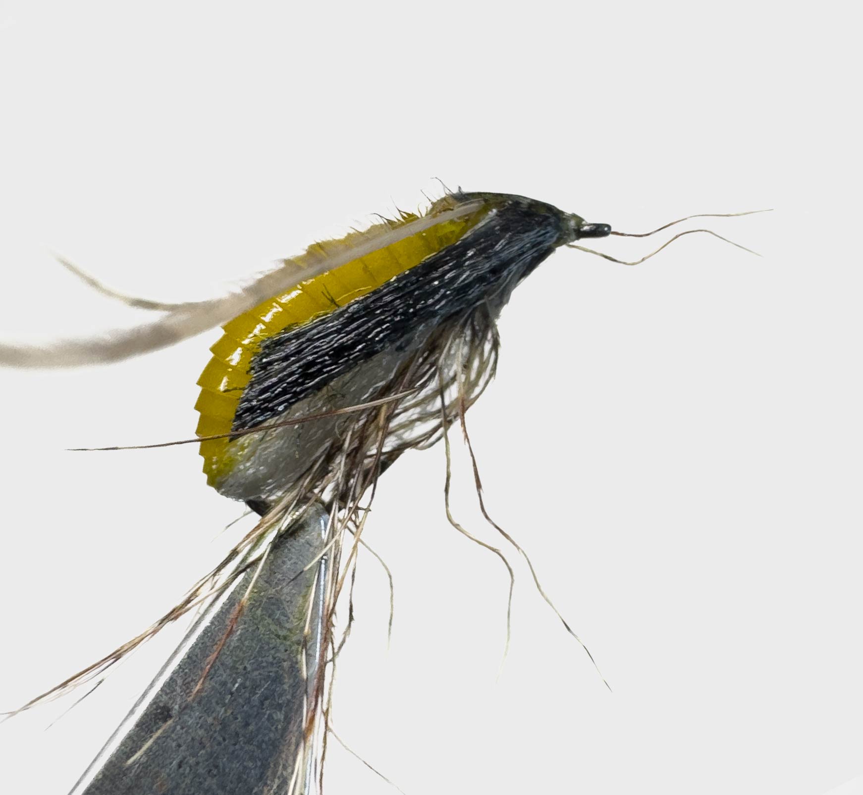 Rising Caddis Pupa 11 LTR Vol