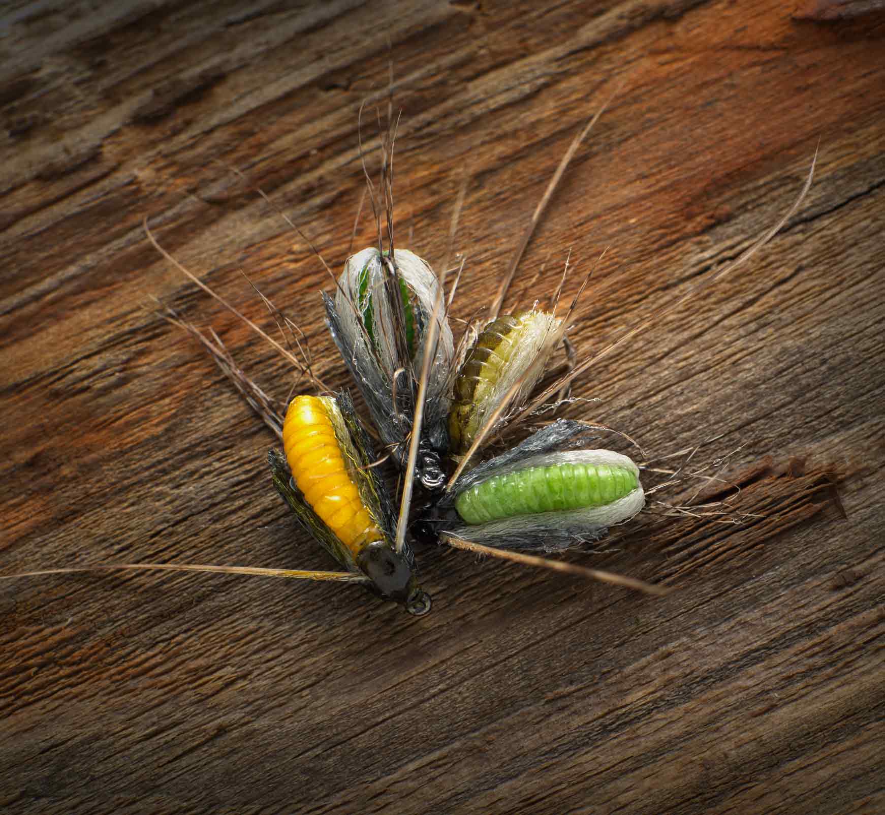 Rising Caddis Pupa 12 LTR Vol