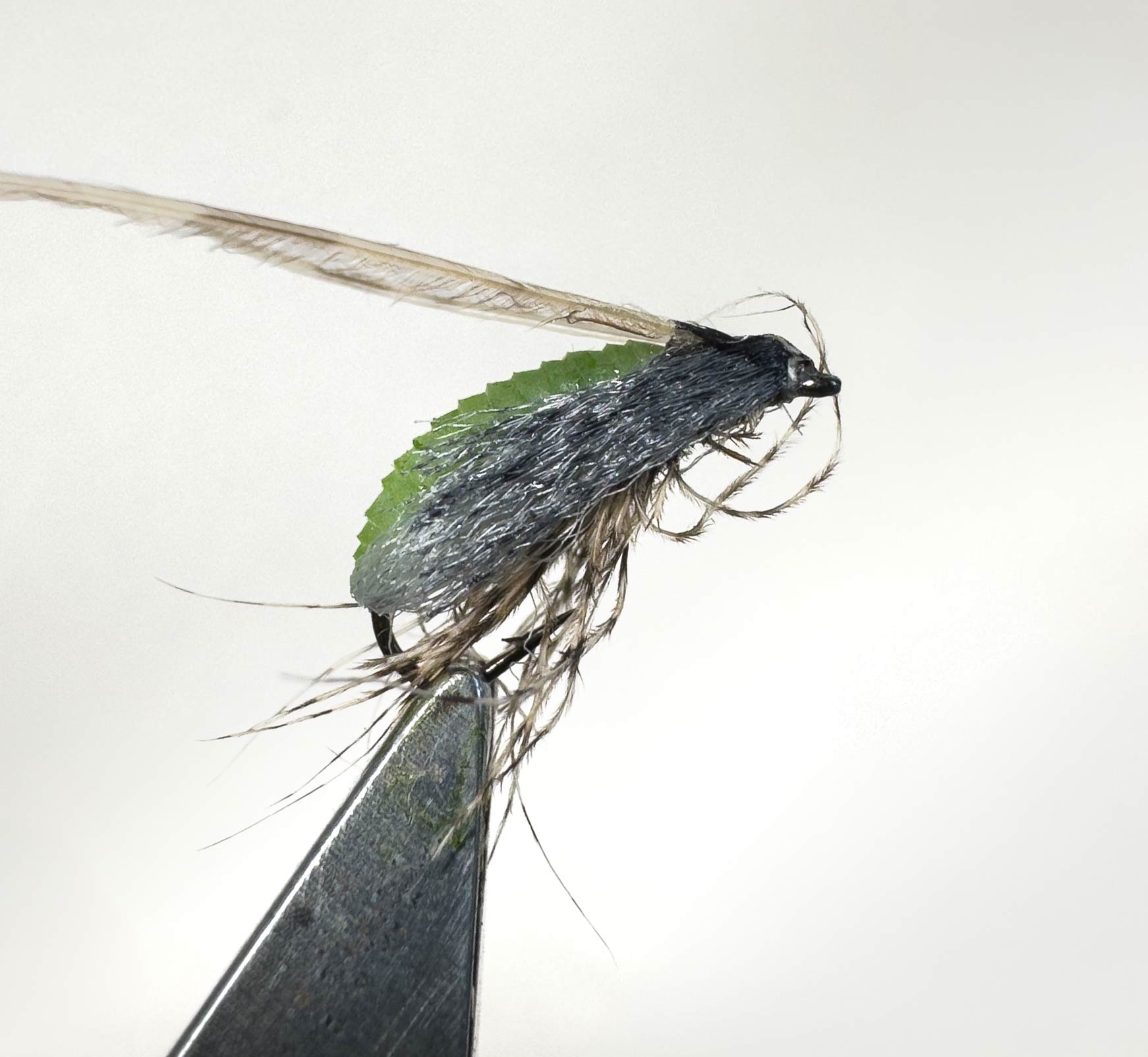 Rising Caddis Pupa 9 LTR Vol