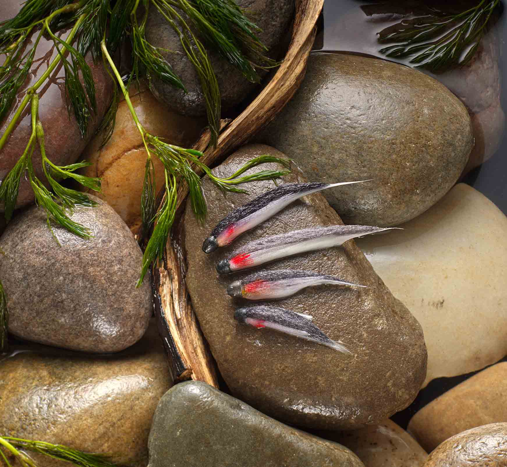 Steve Thornton. Listen to the River. Volume 3 Flytying and Flyfishing book.